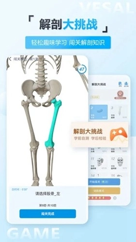 维萨里3d解剖-图4