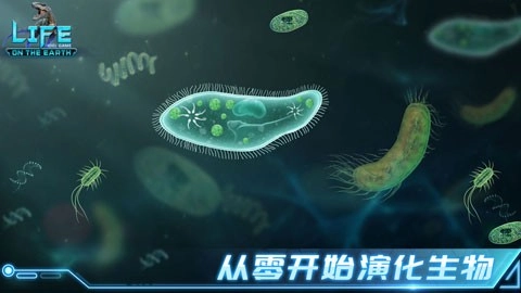 生命简史古生物(1)