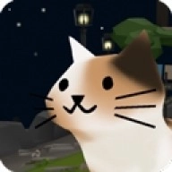 猫猫与鲨鱼