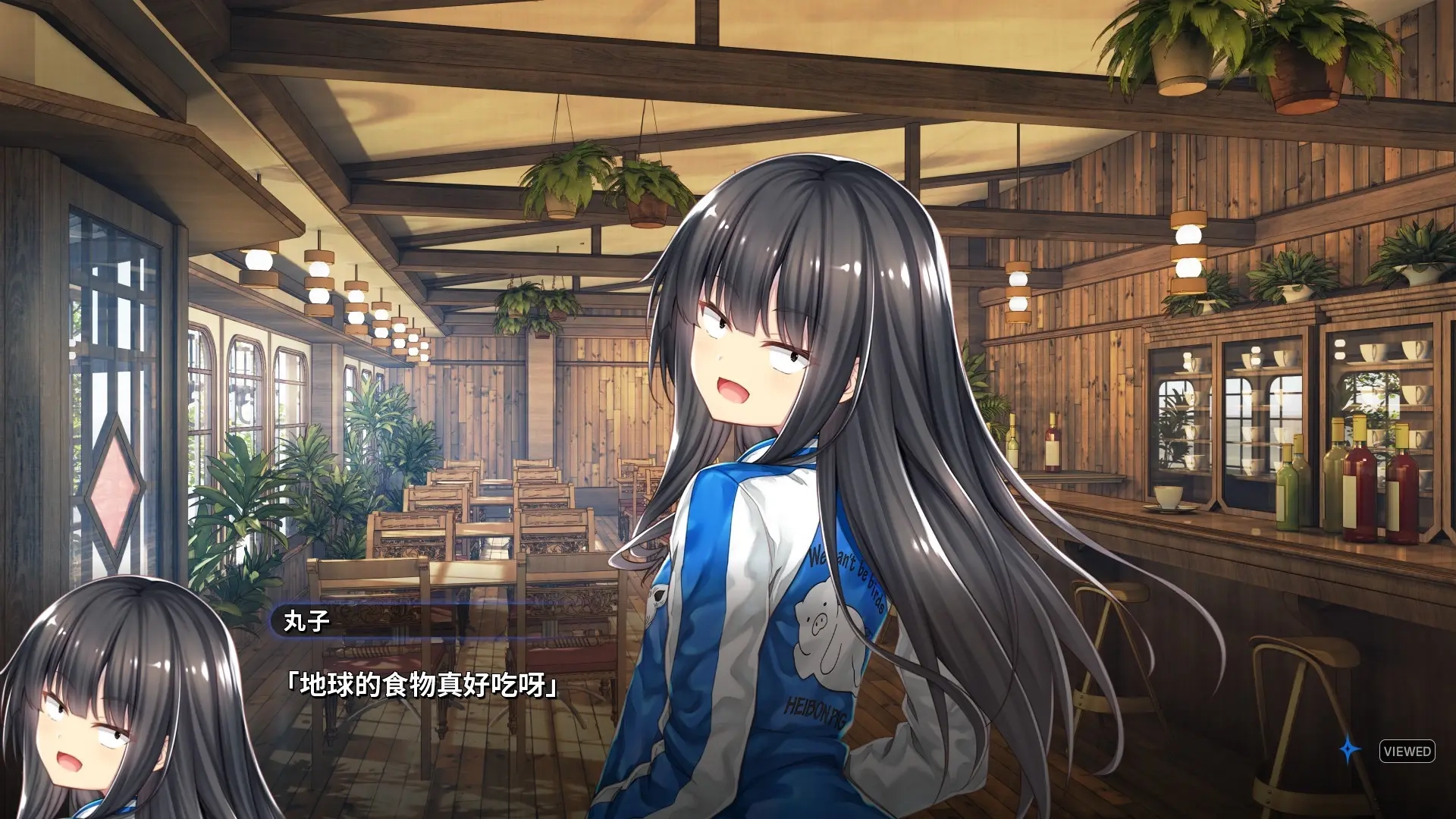 丸子与银河龙通用版图2