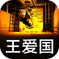 孙美琪疑案王爱国最新免费版