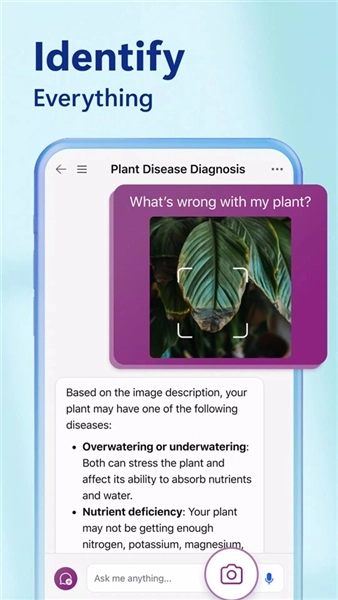 bing搜索国际版手机下载