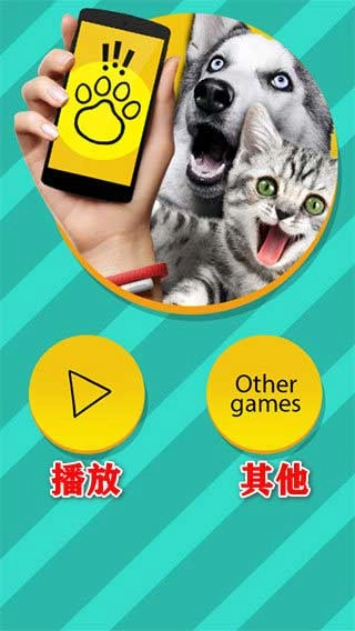 鸟语翻译器