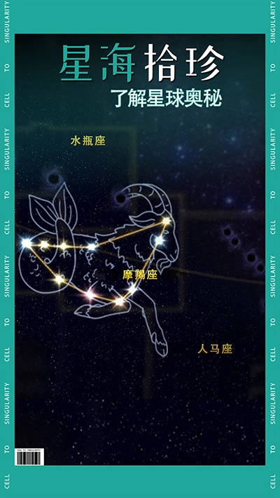 从细胞到奇点(3)
