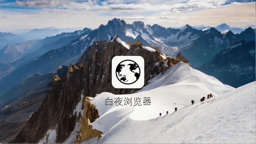 白夜浏览器手机正版图4