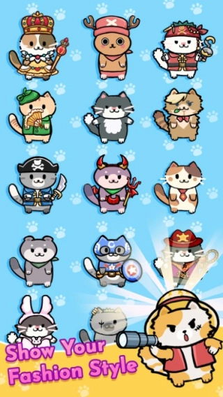 猫吧(1)