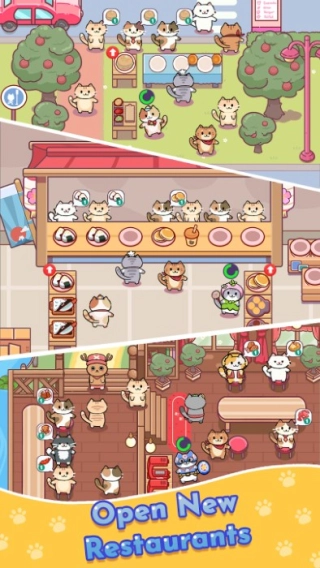 猫吧(2)