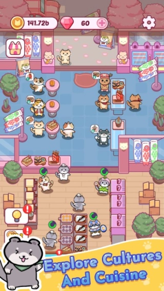 猫吧(4)