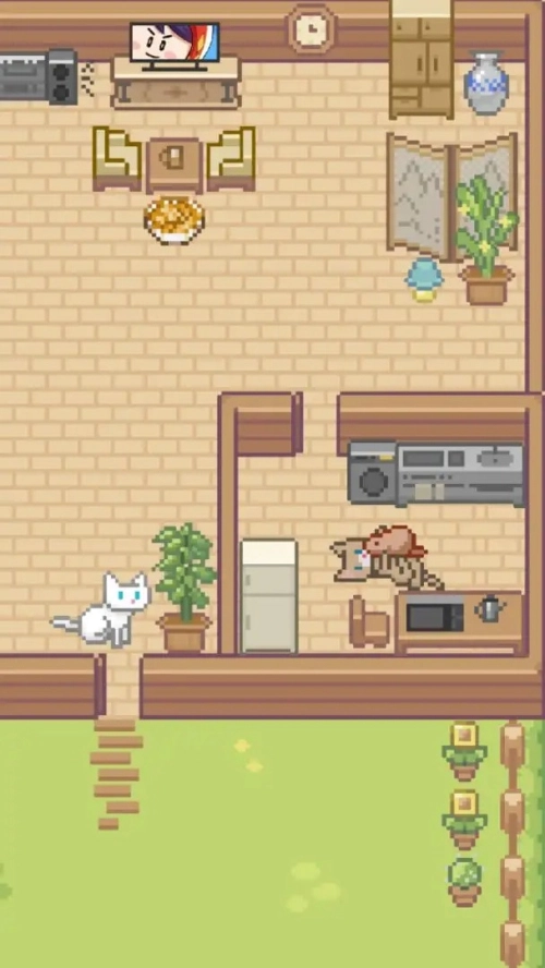 Miao屋(2)