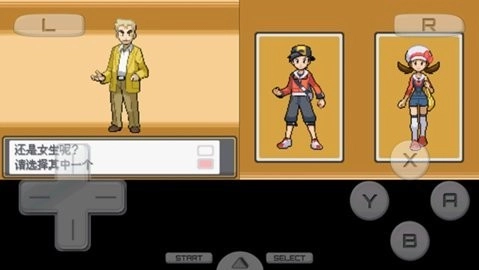 口袋妖怪心金手机版(2)