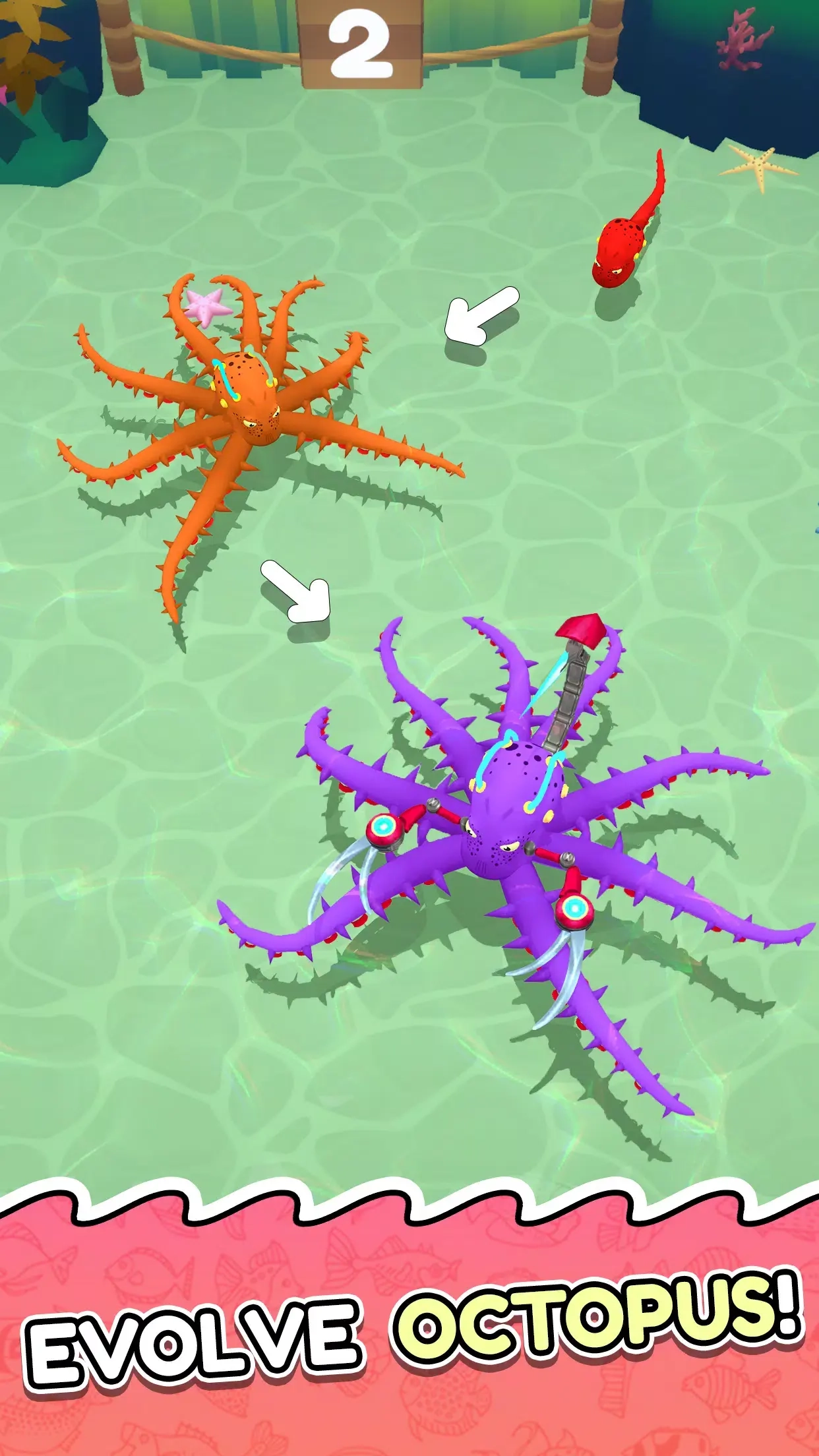 章鱼入侵进食与进化(5)