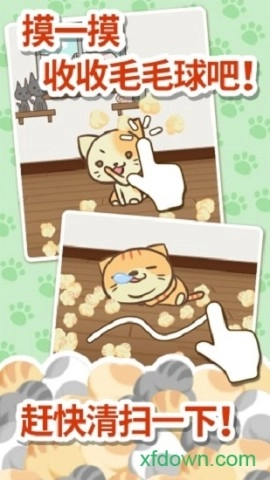 猫咪的毛-图2