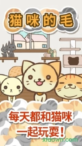 猫咪的毛-图3