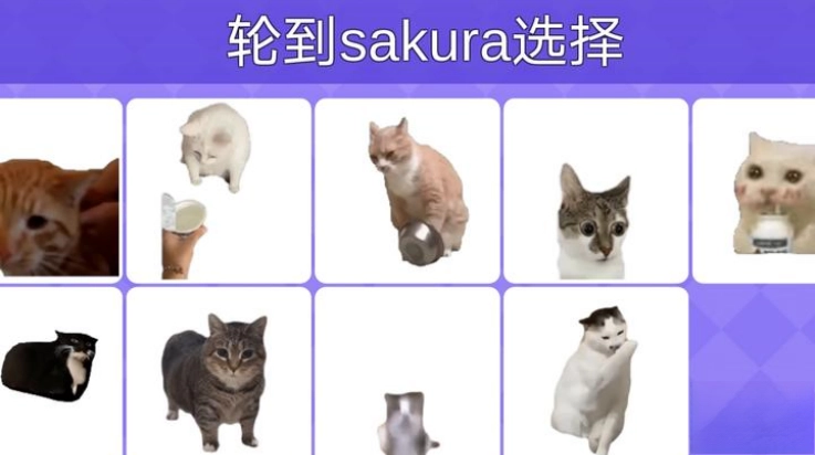 Meme的毒药(3)