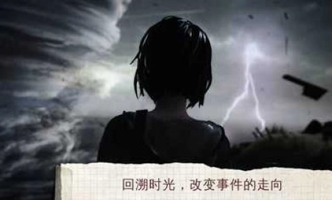奇异人生游戏安装包图1