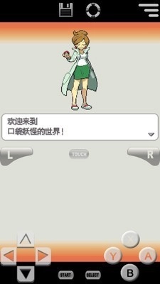 口袋妖怪白2最新版(3)