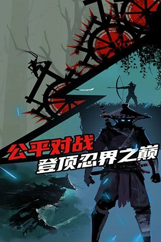 忍者岚1(1)