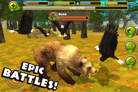 老鹰模拟器中文版(2)