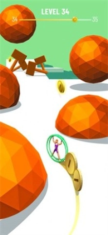 Flippy Coin(3)
