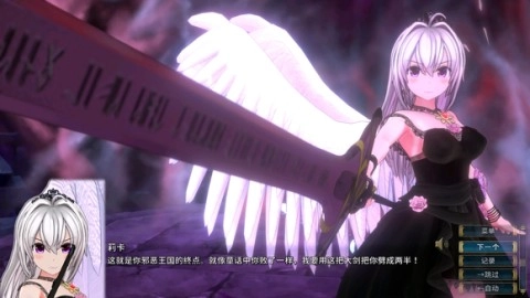 圣骑士莉卡物语1