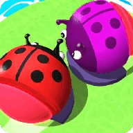 甲虫大乱斗