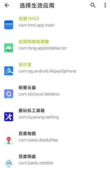 隐藏应用列表2025最新版截图2