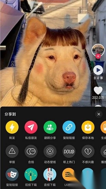 逗音小能手最新版图2