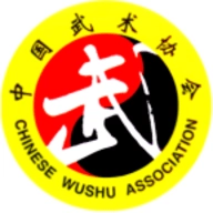 中国武术安卓版