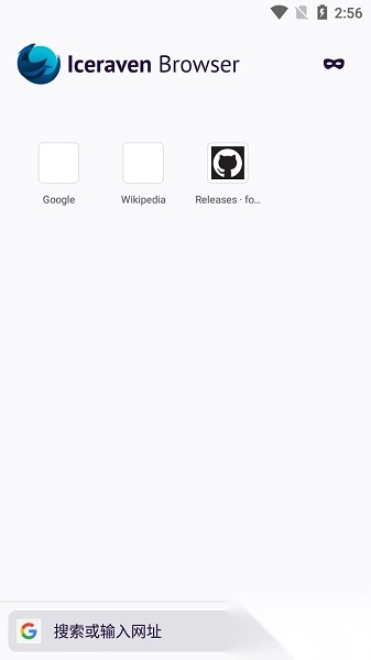 Iceraven浏览器最新版图2