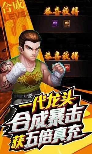 垂直火力格斗游戏正版图2
