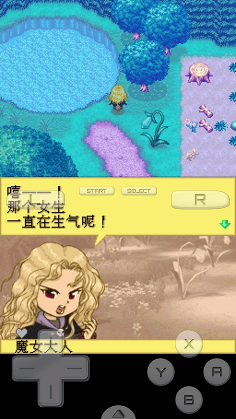 牧场物语精灵驿站正版(2)
