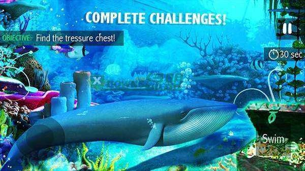 深海蓝鲸模拟BlueWhaleSimulator游戏安装包图2