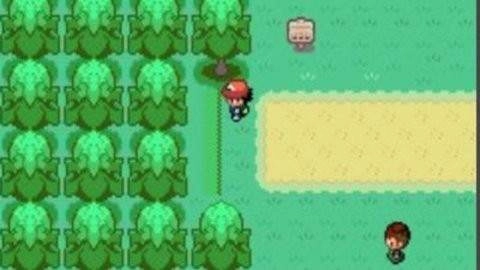 囗袋妖怪特别篇赤最终汉化版图2