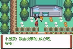 囗袋妖怪特别篇赤最终汉化版