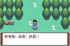 囗袋妖怪特别篇赤最终汉化版