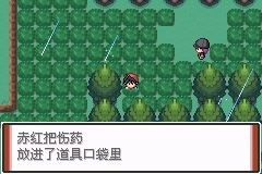 囗袋妖怪特别篇赤最终汉化版