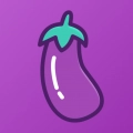 茄子视频最新版 &nbsp;v1.2.4