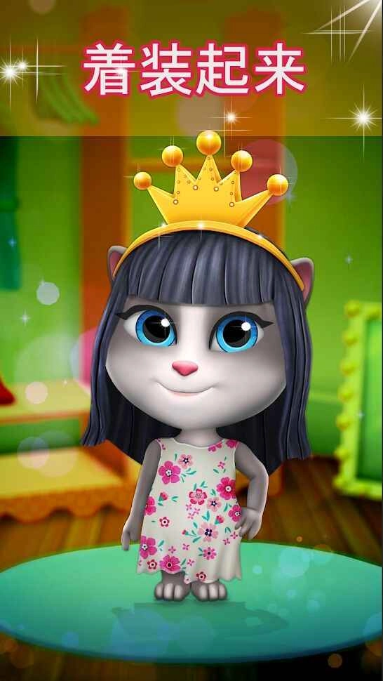 会说话的猫lily图5