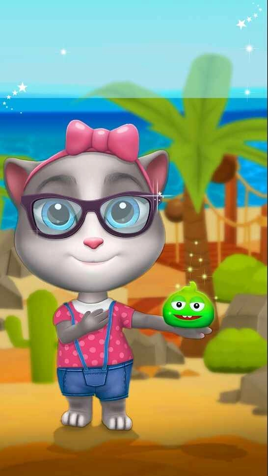 会说话的猫lily图1