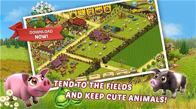 我的小农场最新版图1