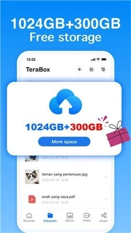 百度网盘国际版图2