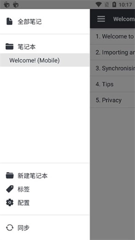 joplin图1