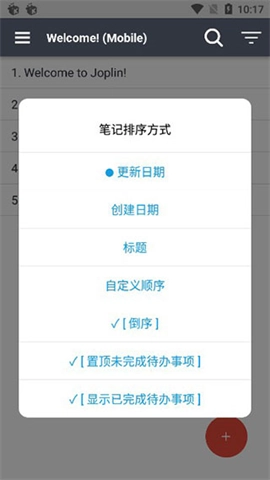 joplin图3