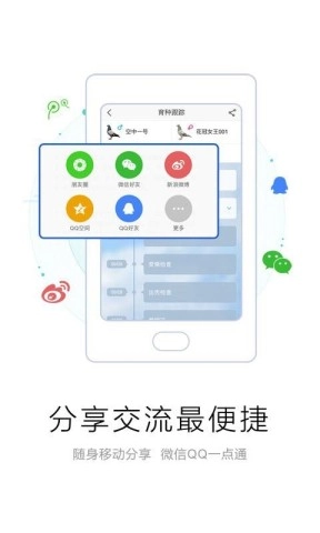 爱鸽者图1