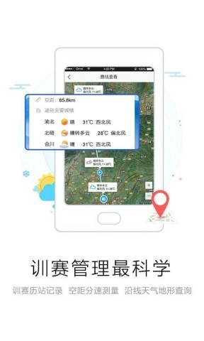 爱鸽者图3