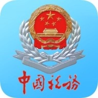 四川省电子税务局安卓直装版