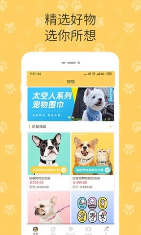 陪彼宠物图1