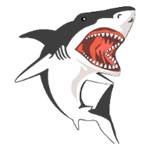 橘猫计算机 v1.0