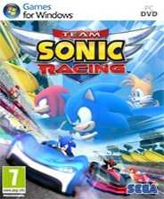 索尼克团队赛车