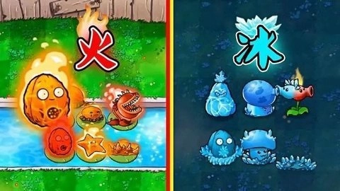 植物大战僵尸冰火版(3)